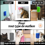 brosse-toilettage-chat-multisurfaces