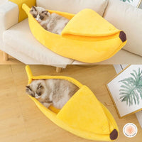 lit-chat-banane